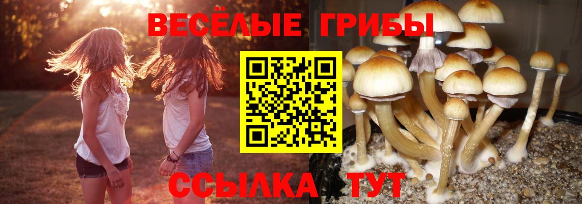 Псилоцибиновые грибы мухоморы  Вход с VPN  Псилоцибиновые грибы ЛСД  Новодвинск 
